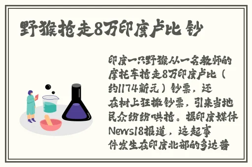 中国xmxm18小孩的界面没汁